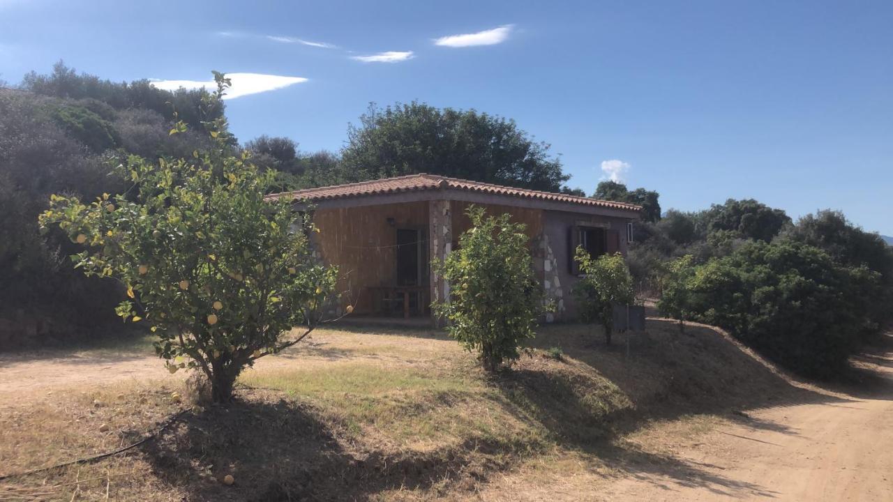 Is Bisus Guest House Castiadas Bagian luar foto